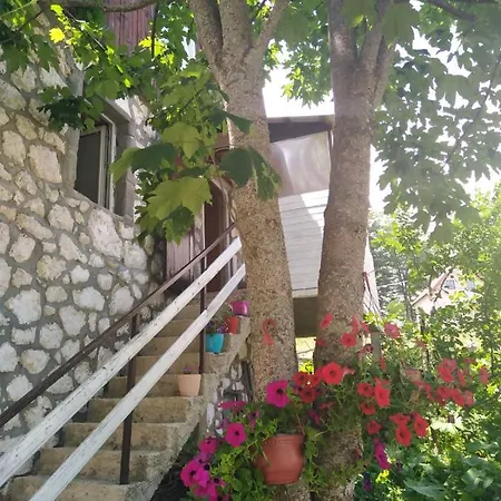 Apartment Dobre Vode Zabljak  Exterior photo