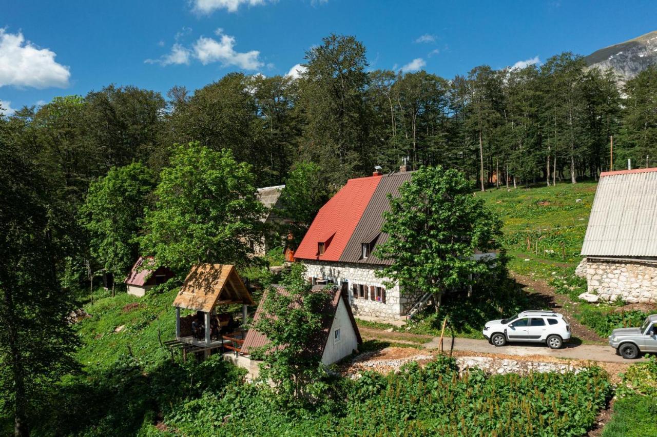 Apartment Dobre Vode *