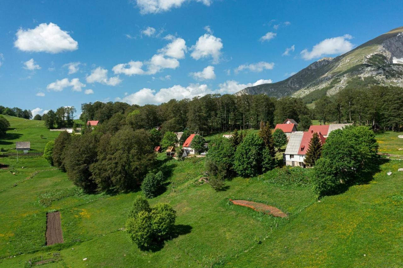 Apartment Dobre Vode *